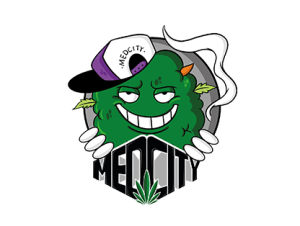 MEDCITY 1 300x226
